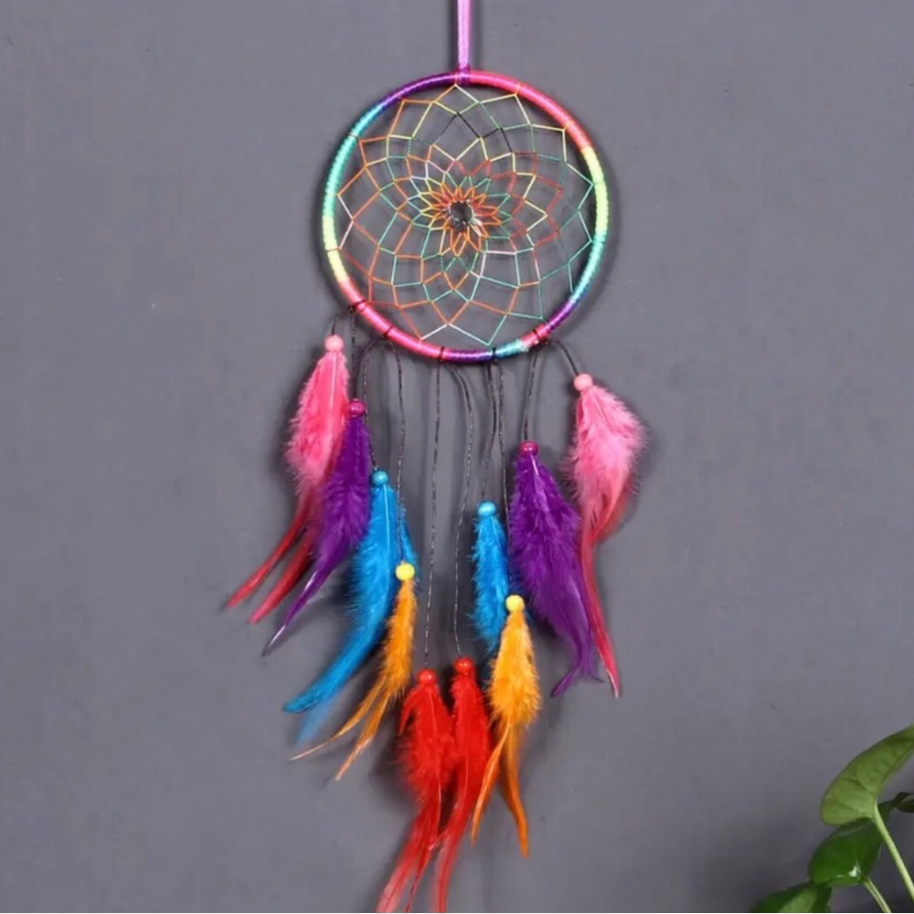 Multicolor Feather Dreamcatcher Hanging Wall Decor
